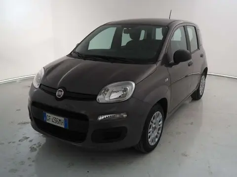 Used FIAT PANDA Hybrid 2021 Ad 