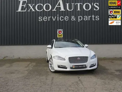 Used JAGUAR XJR Petrol 2019 Ad 