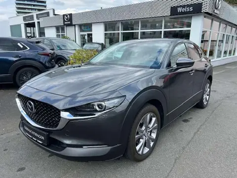 Annonce MAZDA CX-30 Essence 2020 d'occasion 