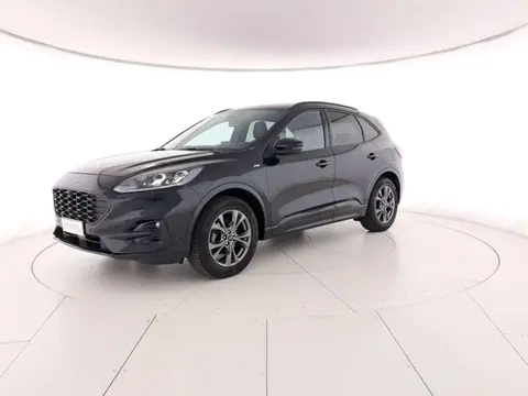 Annonce FORD KUGA Essence 2020 d'occasion 