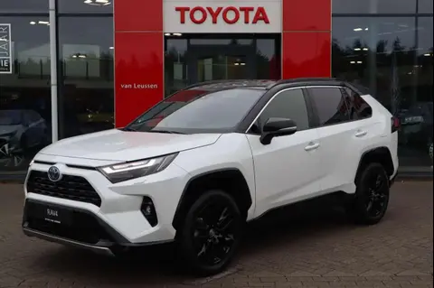 Used TOYOTA RAV4 Hybrid 2023 Ad 