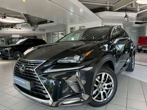 Used LEXUS NX Petrol 2018 Ad 