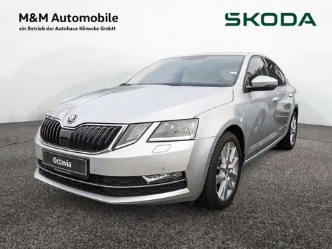 Annonce SKODA OCTAVIA Essence 2017 d'occasion 