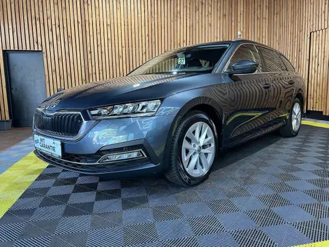 Annonce SKODA OCTAVIA Diesel 2022 d'occasion 