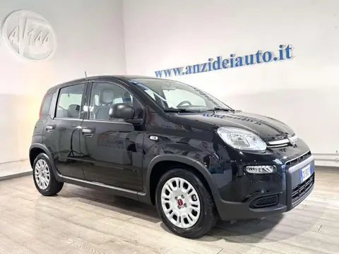 Annonce FIAT PANDA Hybride 2024 d'occasion 