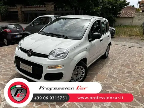 Used FIAT PANDA Hybrid 2021 Ad 