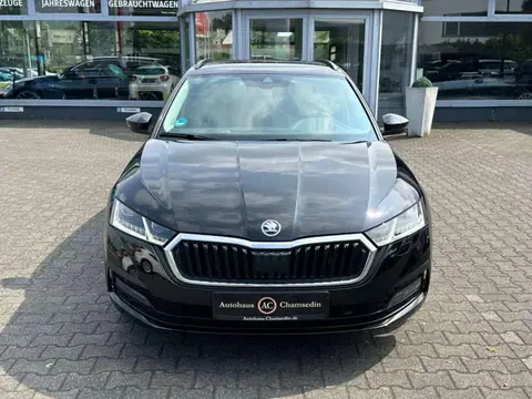 Used SKODA OCTAVIA Diesel 2020 Ad 