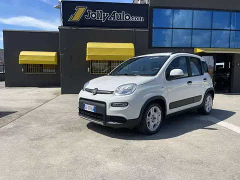 Used FIAT PANDA Hybrid 2022 Ad 