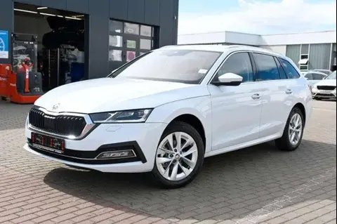 Annonce SKODA OCTAVIA Diesel 2024 d'occasion 