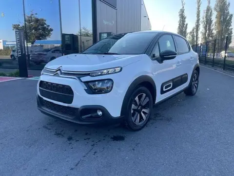 Annonce CITROEN C3 Essence 2024 d'occasion 