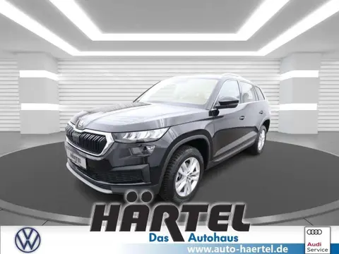 Used SKODA KODIAQ Diesel 2023 Ad 