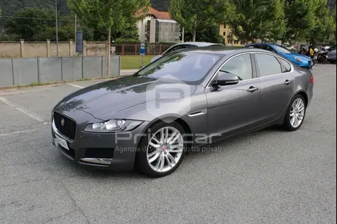 Annonce JAGUAR XF Diesel 2015 d'occasion 