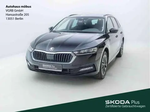 Annonce SKODA OCTAVIA Essence 2024 d'occasion 