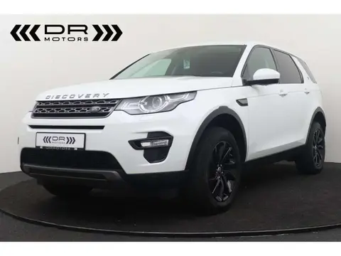 Used LAND ROVER DISCOVERY Diesel 2018 Ad Belgium