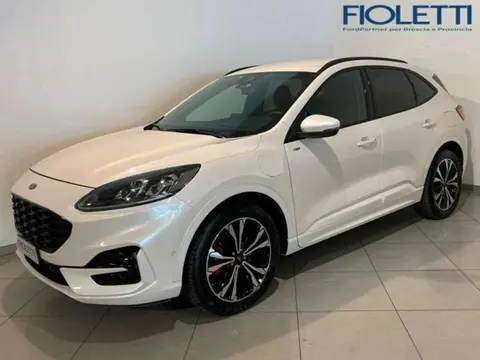 Annonce FORD KUGA Hybride 2021 d'occasion 