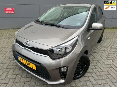 Annonce KIA PICANTO Essence 2019 d'occasion 