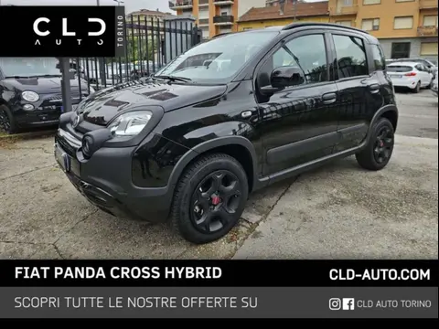 Used FIAT PANDA Hybrid 2023 Ad 