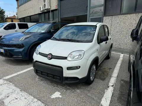 Annonce FIAT PANDA Hybride 2024 d'occasion 