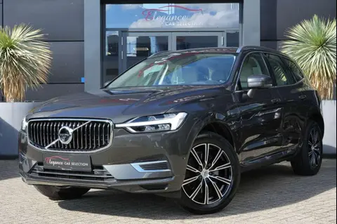 Used VOLVO XC60 Hybrid 2020 Ad 