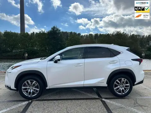 Used LEXUS NX Hybrid 2016 Ad 