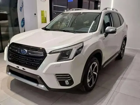 Used SUBARU FORESTER Hybrid 2024 Ad 