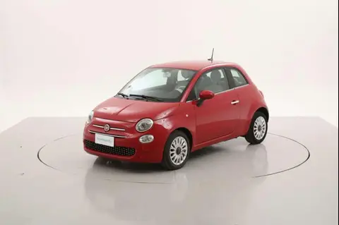 Used FIAT 500 Petrol 2019 Ad 