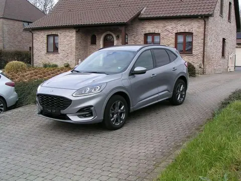 Annonce FORD KUGA Hybride 2023 d'occasion 