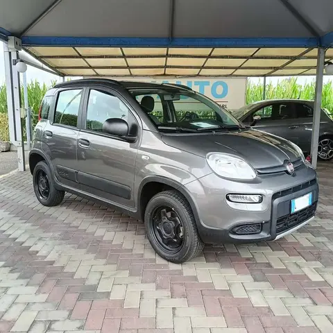 Used FIAT PANDA Petrol 2021 Ad 