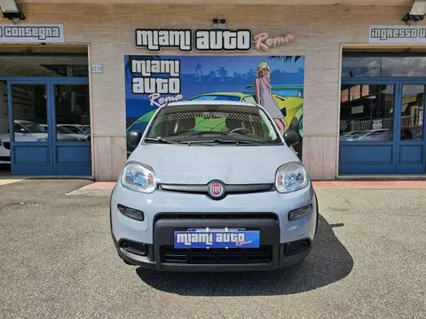 Used FIAT PANDA Hybrid 2023 Ad 