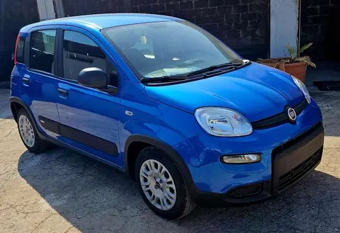 Annonce FIAT PANDA Hybride 2024 d'occasion 