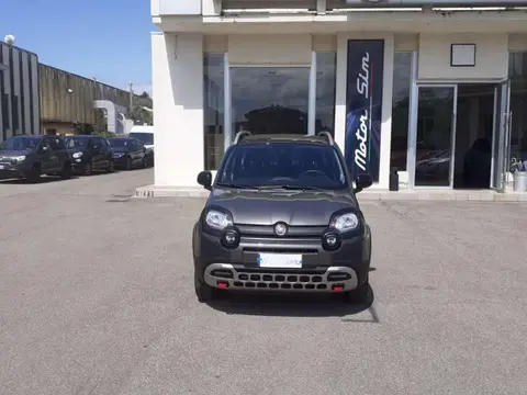 Used FIAT PANDA Petrol 2023 Ad Italy