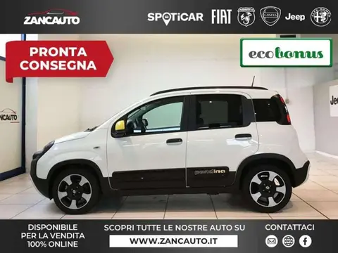 Used FIAT PANDA Hybrid 2024 Ad 