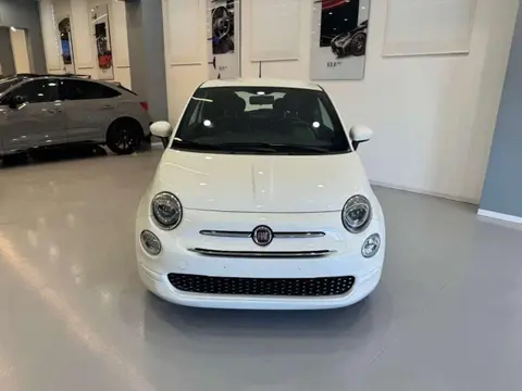 Used FIAT 500 Petrol 2020 Ad 