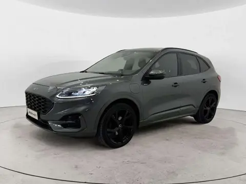 Used FORD KUGA Hybrid 2021 Ad 