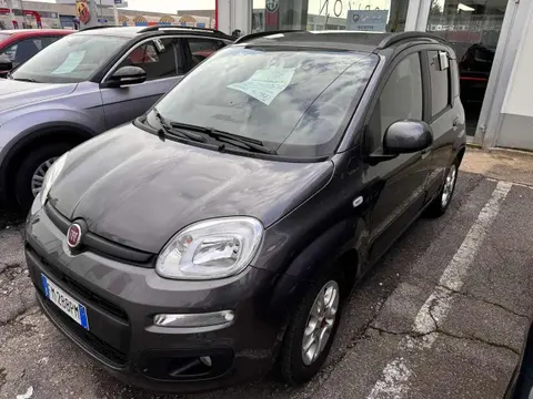 Used FIAT PANDA LPG 2018 Ad 