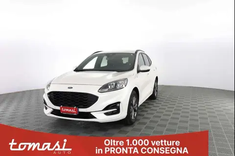 Annonce FORD KUGA Hybride 2023 d'occasion 