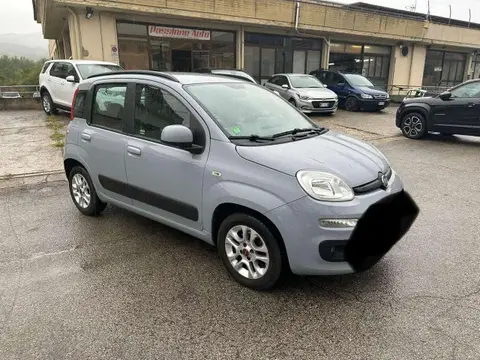 Used FIAT PANDA Petrol 2019 Ad 