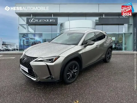 Annonce LEXUS UX  2021 d'occasion 