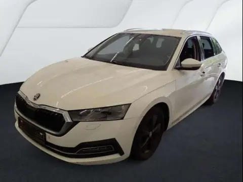 Used SKODA OCTAVIA Diesel 2020 Ad 