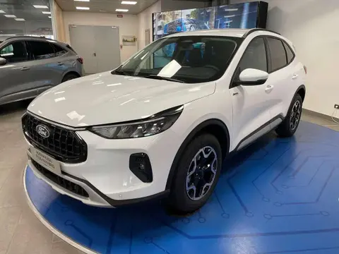 Annonce FORD KUGA Hybride 2024 d'occasion 