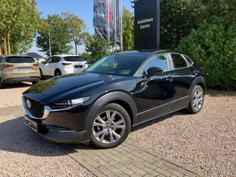 Annonce MAZDA CX-30 Essence 2021 d'occasion 