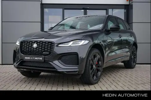 Annonce JAGUAR F-PACE Hybride 2024 d'occasion 