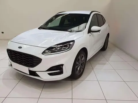 Used FORD KUGA Petrol 2023 Ad 