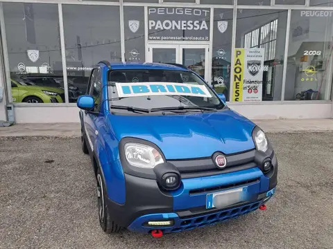 Used FIAT PANDA Hybrid 2023 Ad 