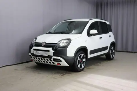 Used FIAT PANDA Petrol 2024 Ad 