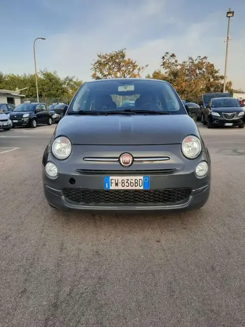 Used FIAT 500 Petrol 2019 Ad 