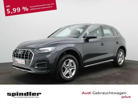 Used AUDI Q5 Diesel 2021 Ad 