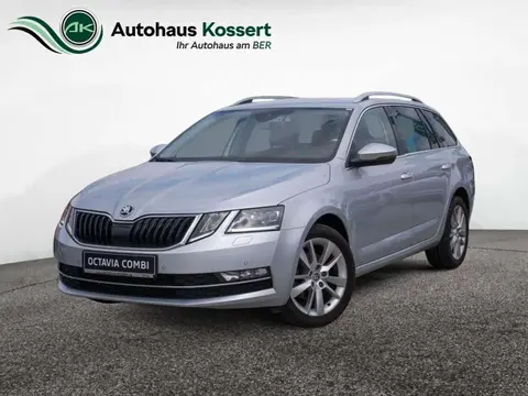 Annonce SKODA OCTAVIA Diesel 2019 d'occasion 