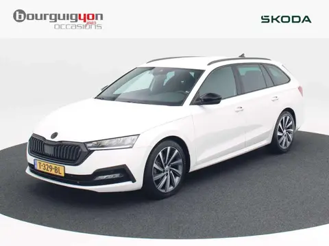 Used SKODA OCTAVIA Petrol 2023 Ad 