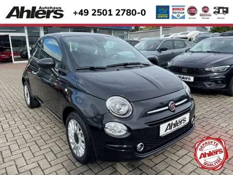 Used FIAT 500 Petrol 2023 Ad 